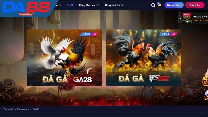 Sảnh cá cược Đá Gà Da88 Sảnh cá cược Đá Gà Da88
